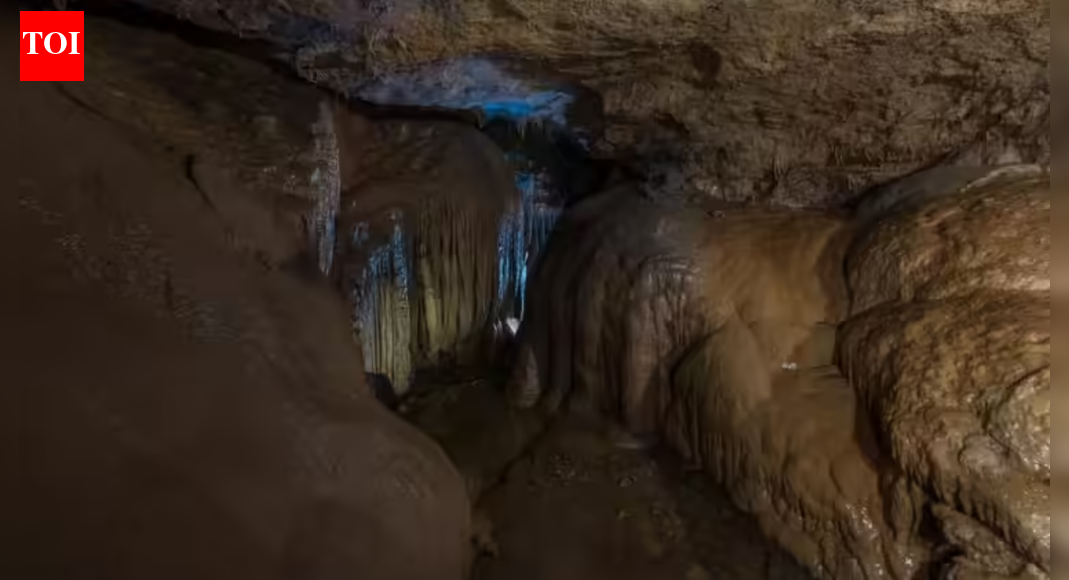 Moroccan cave fossils yield a possible missing link in human evolution