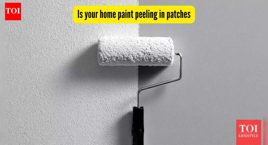 Is your home paint peeling in patches? Here’s how to quick fix this problem |