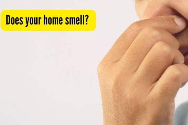 Does your home smell? How to find out and fix this problem permanently |