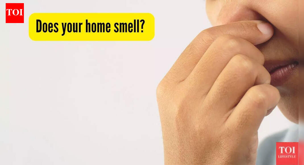 Does your home smell? How to find out and fix this problem permanently |