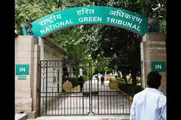 . BHOPAL: The central zone bench of National Green Tribunal on Thursday questioned the rationale and legality of permission granted to NHAI for felling more than 8,700 trees to widen a 16km road stretch in Bhopal, reports Ashutosh Shukla.  Referring to a petition in this regard, the bench asked the NGT chairperson to transfer the plea to the green body’s Delhi bench requesting a nationwide policy in granting permissions for largescale felling of trees for developmental projects. The permission to cut over 8,700 trees for the NHAI project was given in Dec by a centrally empowered committee constituted by MP govt at the behest of NGT central zone bench under the chairmanship of the additional chief secretary, urban administration. Following the permission, NHAI, with the help of Bhopal municipal corporation, started cutting trees at the site even as a petition was moved before NGT against it.End of ArticleFollow Us On Social MediaVideosCEPA A Win-Win For India And Chile, Key Focus On Market Access And Minerals: Chile EnvoyMamata Banerjee Hits Streets, Leads Kolkata Rally Against ED RaidsAfter Meeting PM Modi, AI Innovators Share Insights That Could Change The GameAmit Shah Outlines Foolproof NIDMS Mechanism To Counter Future Terror AttacksIndia No Longer Imports Arms, UP Leads Defence Manufacturing: Rajnath Singh’Not Accurate’: India Hits Back After Trump Aide Blames PM Modi For Delayed Trade DealMEA Calls For Firm Action As India Flags Disturbing Pattern Of Attacks On Minorities In BangladeshPM Modi To Host German Chancellor Merz In Gujarat As India-Germany Ties Enter Strategic Phase’PM Modi-Trump Held 8 Calls In 2025′: India Rejects Lutnick’s Claim On Stalled Trade AgreementThe Day CBI Arrested Indira Gandhi And Sonia’s Pasta Maker That May Have Saved The Day For Cong123PhotostoriesBirthday special: Hrithik Roshan’s social media moments with Saba Azad and familyBirthday Special: Hrithik Roshan’s movies to watch on OTTTaarak Mehta Ka Ooltah Chashmah: From calling Dilip Joshi the ‘pillar of the show’ to reacting to Disha Vakani aka Dayaben’s return, Sharad Sankla aka Abdul gets candid7 moon-kissed baby names for your little princessCurry-smelling kangaroos to banana bees: 6 animals that surprisingly smell like foodWhat teachers wish parents understood‘Hum Paanch’, ‘Dekh Bhai Dekh’, ‘Yes Boss’: Top TV comedy shows from the 90What students learn in school beyond the syllabusFrom ‘Highway’ to ‘Chhichhore’: 5 times mainstream films embraced unconventional charactersSadhguru’s Drumstick Soup is a winter must-have; recipe inside123Hot PicksTrump Mexico NewsTrump Denmark NewsGold rate todayBengaluru newsCigarette price hikePublic holidays January 2026Bank Holidays JanuaryTop TrendingCandace OwensTommy Fleetwood and Clare Fleetwood Net WorthTravis KelceVanessa BryantLos Angeles KingsBoston Celtics vs Toronto RaptorsLeBron JamesJa MorantWPL Live ScoreStefon Diggs