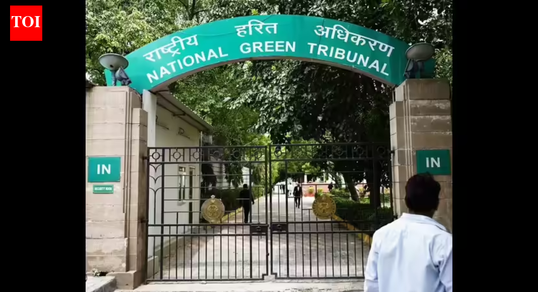 . BHOPAL: The central zone bench of National Green Tribunal on Thursday questioned the rationale and legality of permission granted to NHAI for felling more than 8,700 trees to widen a 16km road stretch in Bhopal, reports Ashutosh Shukla.  Referring to a petition in this regard, the bench asked the NGT chairperson to transfer the plea to the green body’s Delhi bench requesting a nationwide policy in granting permissions for largescale felling of trees for developmental projects. The permission to cut over 8,700 trees for the NHAI project was given in Dec by a centrally empowered committee constituted by MP govt at the behest of NGT central zone bench under the chairmanship of the additional chief secretary, urban administration. Following the permission, NHAI, with the help of Bhopal municipal corporation, started cutting trees at the site even as a petition was moved before NGT against it.End of ArticleFollow Us On Social MediaVideosCEPA A Win-Win For India And Chile, Key Focus On Market Access And Minerals: Chile EnvoyMamata Banerjee Hits Streets, Leads Kolkata Rally Against ED RaidsAfter Meeting PM Modi, AI Innovators Share Insights That Could Change The GameAmit Shah Outlines Foolproof NIDMS Mechanism To Counter Future Terror AttacksIndia No Longer Imports Arms, UP Leads Defence Manufacturing: Rajnath Singh’Not Accurate’: India Hits Back After Trump Aide Blames PM Modi For Delayed Trade DealMEA Calls For Firm Action As India Flags Disturbing Pattern Of Attacks On Minorities In BangladeshPM Modi To Host German Chancellor Merz In Gujarat As India-Germany Ties Enter Strategic Phase’PM Modi-Trump Held 8 Calls In 2025′: India Rejects Lutnick’s Claim On Stalled Trade AgreementThe Day CBI Arrested Indira Gandhi And Sonia’s Pasta Maker That May Have Saved The Day For Cong123PhotostoriesBirthday special: Hrithik Roshan’s social media moments with Saba Azad and familyBirthday Special: Hrithik Roshan’s movies to watch on OTTTaarak Mehta Ka Ooltah Chashmah: From calling Dilip Joshi the ‘pillar of the show’ to reacting to Disha Vakani aka Dayaben’s return, Sharad Sankla aka Abdul gets candid7 moon-kissed baby names for your little princessCurry-smelling kangaroos to banana bees: 6 animals that surprisingly smell like foodWhat teachers wish parents understood‘Hum Paanch’, ‘Dekh Bhai Dekh’, ‘Yes Boss’: Top TV comedy shows from the 90What students learn in school beyond the syllabusFrom ‘Highway’ to ‘Chhichhore’: 5 times mainstream films embraced unconventional charactersSadhguru’s Drumstick Soup is a winter must-have; recipe inside123Hot PicksTrump Mexico NewsTrump Denmark NewsGold rate todayBengaluru newsCigarette price hikePublic holidays January 2026Bank Holidays JanuaryTop TrendingCandace OwensTommy Fleetwood and Clare Fleetwood Net WorthTravis KelceVanessa BryantLos Angeles KingsBoston Celtics vs Toronto RaptorsLeBron JamesJa MorantWPL Live ScoreStefon Diggs
