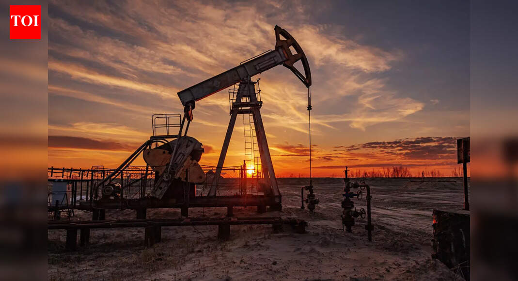 Long-term planning driving India’s energy readiness, says Hardeep Puri