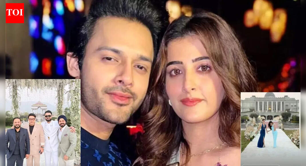 Kriti Sanon’s rumoured boyfriend Kabir Bahia, Mouni Roy, Disha Patani drop PICS from Nupur Sanon, Stebin Ben’s wedding in Udaipur – See inside