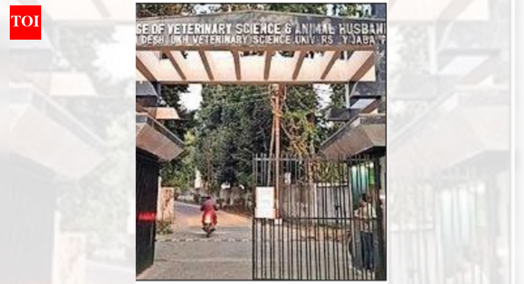 MP’s ‘gau mutra, gobar cancer project’ funds splurged on cars, travel: Probe