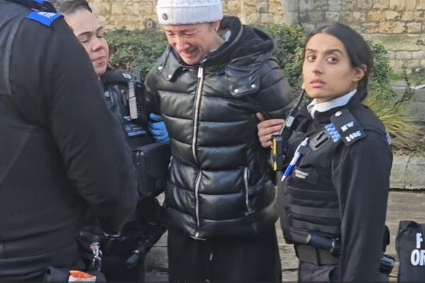 ‘This is ridiculous’: London woman arrested by police for feeding pigeons on busy high street |