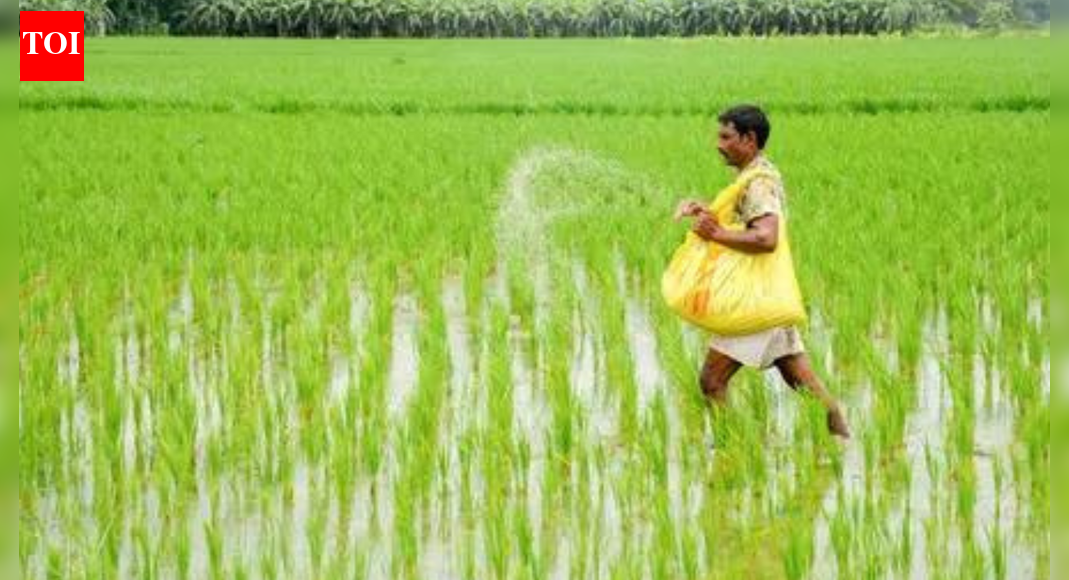 Budget 2026: Micro-fertiliser makers pitch reforms; call for uniform GST, single business licence system