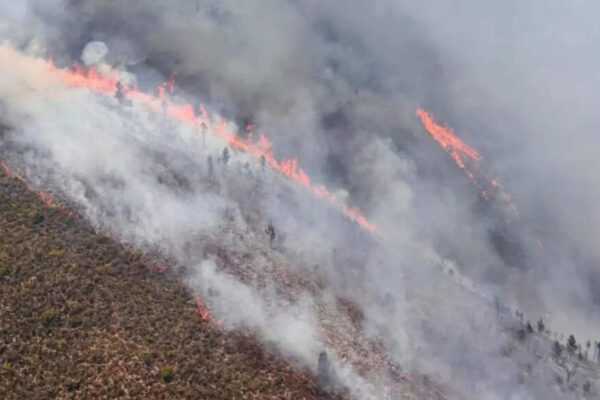South Africa wildfires: Firefighters battle blazes spreading across Western Cape— what we know