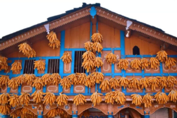 This village near Mussoorie hangs corn outside their homes for generations, and the reason goes far deeper than tradition