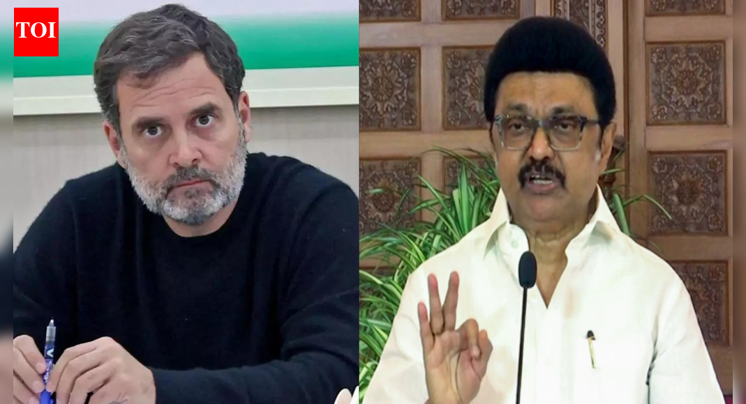 No Rahul-Stalin in Tamil Nadu? DMK rejects Congress‘s ‘sharing power’ proposal; CM firm on stand | India News