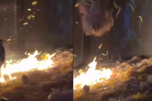 Fire breaks out in cinema hall during ‘The Raja Saab’ screening in Odisha