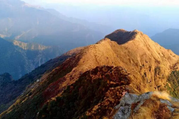 In a 1st in 4 decades, peaks in Garhwal Himalayas remain snowless in Jan, affect growth of medicinal plants