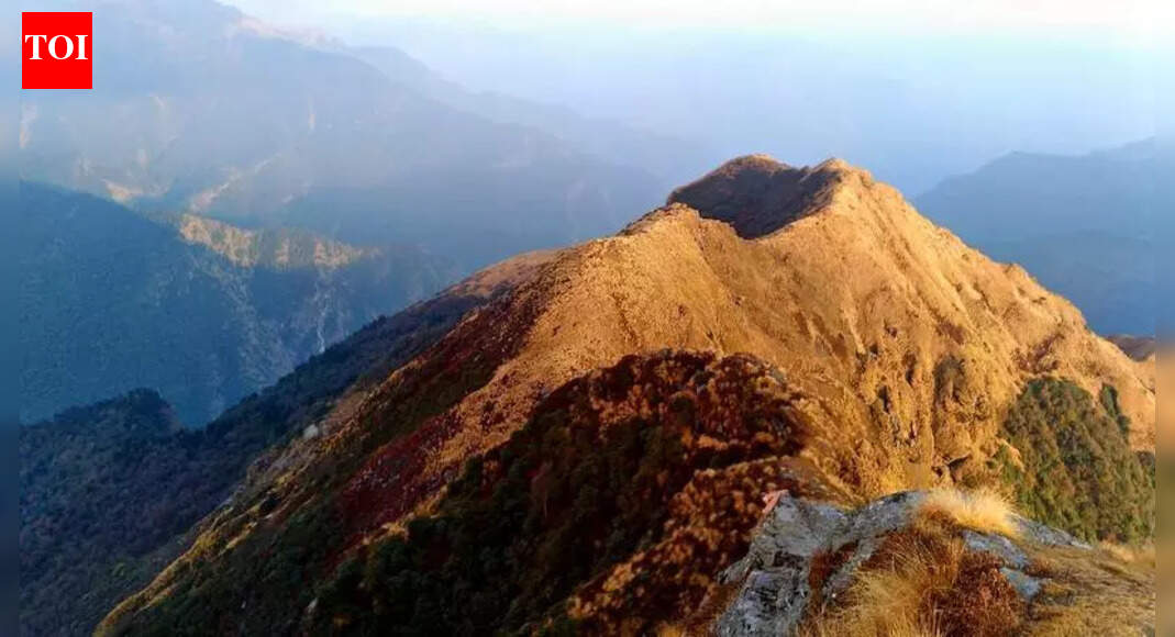 In a 1st in 4 decades, peaks in Garhwal Himalayas remain snowless in Jan, affect growth of medicinal plants