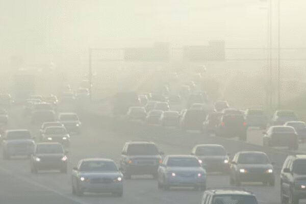 . DEHRADUN: Winter fog has long been a disruptive force in northern India, grounding flights, delaying trains and bringing daily life to a crawl across the Indo-Gangetic plain. Now, new research published in Science Advances journal reveals that air pollution is not just accompanying these fog events – it is actively making them thicker, longer-lasting and harder to disperse, reports Gaurav Talwar. The peer-reviewed study, led by researchers from IIT Madras, shows that high concentrations of aerosols – tiny particles released from vehicles, industries, biomass burning and other human activities – are “invigorating” fog layers over parts of northern India. Using 15 years of satellite data and high-resolution weather-chemistry simulations, the researchers uncovered a clear physical mechanism linking pollution to intensified fog. They found that during polluted conditions, fog layers over the Indo-Gangetic plain grew about 15-20% thicker, often reaching heights of 400-600 m. Crucially, this thickening happens mainly at the top of the fog layer, not at the surface. The reason lies in how aerosols interact with fog droplets – more aerosols lead to more droplets, stronger cooling, increased vertical mixing and ultimately a thicker fog layer. As per the study, satellite observations revealed that fog in polluted conditions contains larger droplets near its top – a finding that may initially seem counterintuitive. In many clouds, pollution leads to smaller droplets. But in fog, where moisture is abundant and the atmosphere is nearly saturated, the enhanced condensation and cooling at the fog top allow droplets to grow larger despite high aerosol concentrations. The study stresses controlling aerosol emissions is not only essential for cleaner air, but may also be critical for reducing the intensity and duration of winter fog in northern India.About the AuthorGaurav TalwarJournalist reporting on natural disasters in the Himalayas with a keen interest in politics, especially during election season.End of ArticleFollow Us On Social MediaVideos‘Attack On My Life’: Suvendu Adhikari Targets Mamata Banerjee, Levels Serious AllegationUkrainian Envoy Hails PM Modi As Global Leader, Praises Ukraine Peace EffortsChirag Paswan Hits Out At Tejashwi Yadav Over ‘People Lost In Democracy’ commentIndia’s Reform Express Accelerates Growth and Investment, Says PM ModiAmit Shah Confident BJP Will Form Government In Kerala In 2026, Vote Share ClimbingOwaisi Blames Congress, Hits Out at UAPA After SC Denies Bail To Umar Khalid‘Some Historians, Politicians Tried To Whitewash History Of Invaders’: PM Modi Hits Out In Somnath‘Hijab-Clad PM’ Row: Owaisi’s ‘Tubelight’ Jab At Himanta Sarma Over ‘Only Hindu PM’ RemarksRSS Chief Mohan Bhagwat Calls For Hindu Unity, Says India Will Lead World In 20–30 YearsPM Modi Offers Prayers At Somnath Temple, Witnesses Grand Drone Show & Fireworks At Swabhiman Parv123PhotostoriesSobhita Dhulipala’s most graceful saree looks – PicsHow to make Instant Rava Appe for breakfastCute parenting moments of Kareena Kapoor and Saif Ali KhanInside Nupur Sanon and Stebin Ben’s stylish Christian weddingLohri 2026: 11 must-try Punjabi dishes to celebrate Lohri‘The Raja Saab’: Educational qualification of the star cast10 things 90s kids begged their parents for, that Gen Z will be shocked even existed7 baby girl names inspired by Indian holy places that parents secretly love8 countries around the world most famous for their wildlifeSamantha Ruth Prabhu’s timeless saree looks that redefine elegance123Hot PicksTrump tariffsUS Supreme CourtGold rate todayBengaluru newsCigarette price hikePublic holidays January 2026Bank Holidays JanuaryTop TrendingUS Border Petrol Agent ShootCanada Immigration Applications 2026Kim KardashianVanessa BryantTrump TariffsConnor McDavidNFL PlayoffsAlex BregmanNandani SharmaFortnite Updates