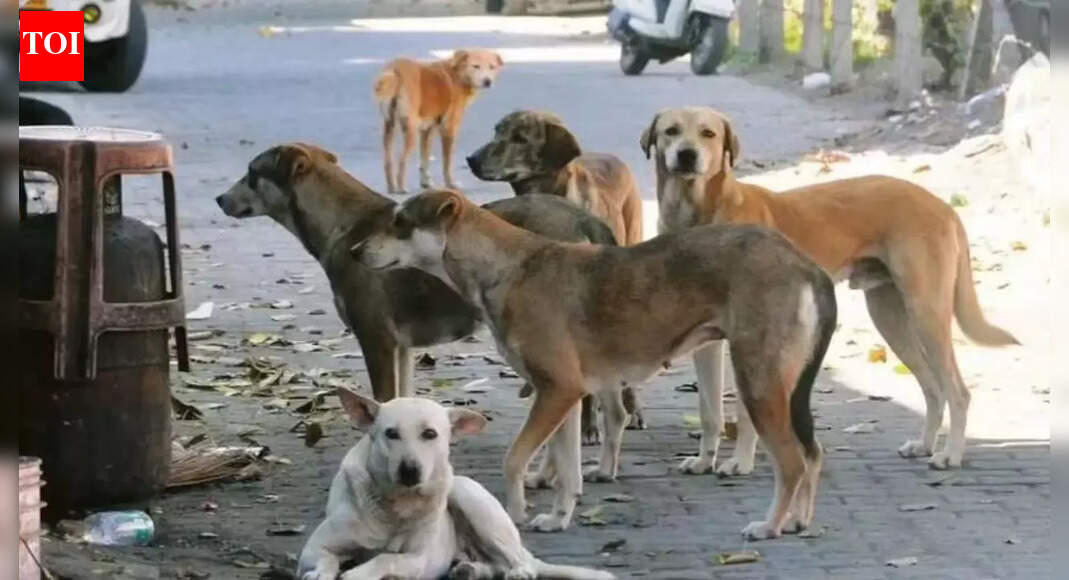 Mass dog killings rock Telangana: ‘300 stray canines’ given lethal injections; sarpanches among 9 booked
