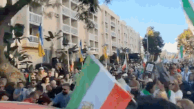 Watch: Truck rams into crowd supporting Iran protests in LA; video shows dramatic confrontation