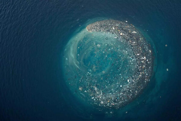 The Great Pacific Garbage Patch is becoming home to some aquatic species