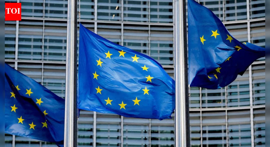 China says it has deal with EU on steps to resolve their dispute over EV imports