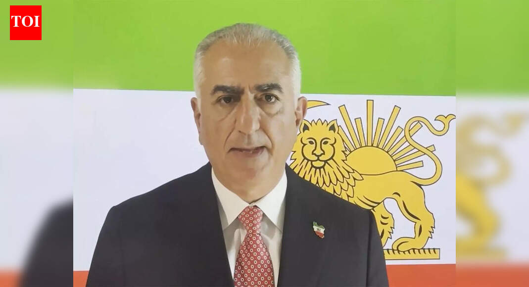 ‘Seize and hold the cities’: 5 takeaways from Reza Pahlavi’s declaration amid Iran protests | World News