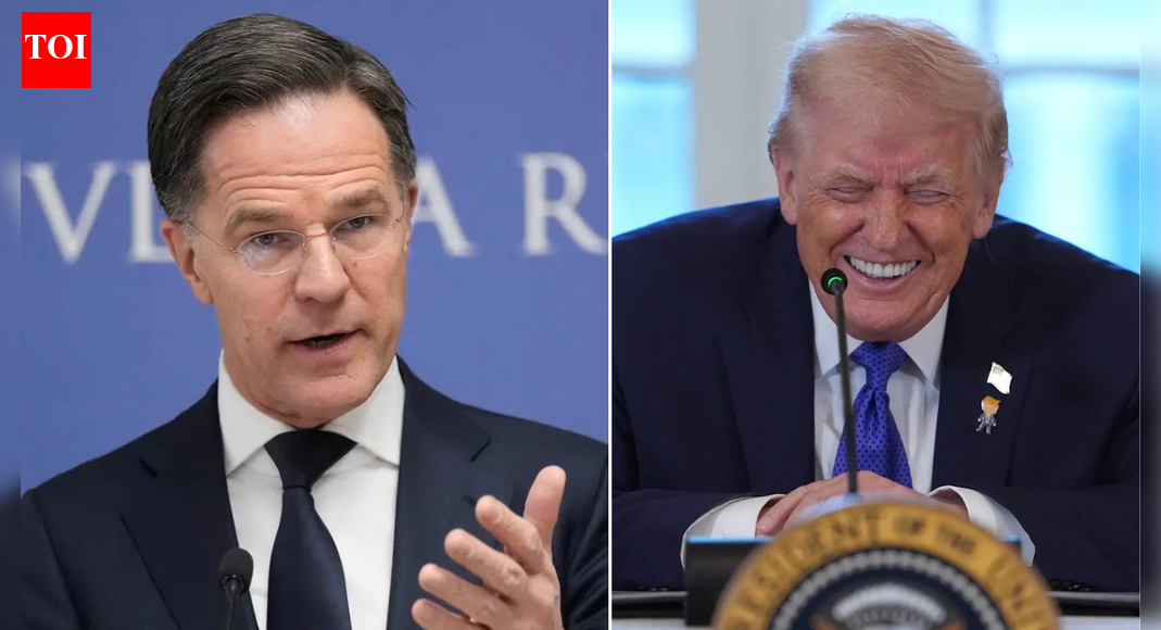 ‘Working to boost Arctic security’: Nato chief amid US Greenland threat; Donald Trump claims credit for it too