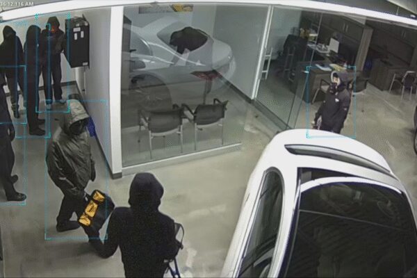 ‘Shocking, surreal’: Ferrari, Porsche, BMW of  million stolen on camera from Ontario showroom; ‘Who gets up at 3 am to…’