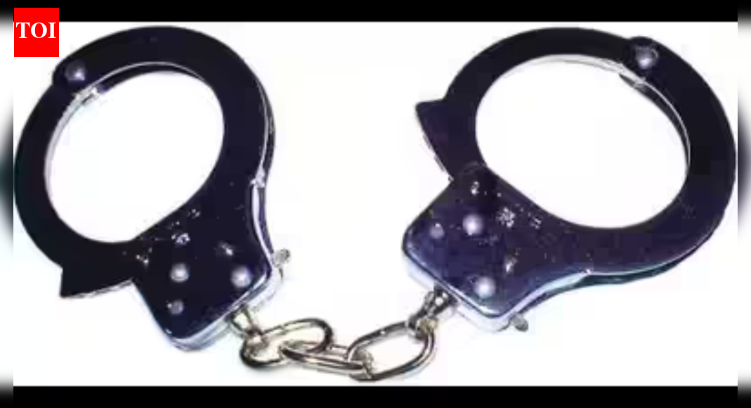 . MOHALI: The murder of 66-year-old Ashok Kumari, wife of former Additional Advocate General of Punjab Krishan Goyal, was allegedly planned by their house help, Neeraj, who roped in two cousins, police said Monday after arresting a second suspect, reports Barinderjit Saluja. Neeraj was arrested a day after the murder, while a co-accused was caught in Fatehpur, UP. Police are now looking for the third suspect, Mohali SSP Harmandeep Hans said. “We recovered 28 tolas of gold and Rs 1.5 lakh cash,” he added. Much of the loot is still missing. The complainant said 40 tolas of gold and Rs 8.5 lakh in cash were stolen. Cops said motive was not enmity but a desire to get rich after learning that gold and cash were kept in the house.End of ArticleFollow Us On Social MediaVideosCongress MP says India remains “heavily invested emotionally and politically” in Bangladesh”Our Youth Is Creative And Innovative,” PM Modi At Viksit Bharat Dialogue“Deeply Impressed,” CEOs Share Takeaways After Meeting PM Modi | VideoFrom Defence To AI: PM Modi Urges German CEOs To Make India Their Global Manufacturing Base’Real Friends Always…’: Trump’s New Envoy Sergio Gor Pledges To Reset India-US TiesNot Trade Or Defence: Why Four-Year Old Baby Ariha Shah Became Key Topic In Modi–Germany TalksAAP’s Raghav Chadha Turns Blinkit Delivery Agent for a Day Amid Gig Workers’ Row’Will Come to Mumbai, Try Cutting My Legs: Annamalai Hits Back at Raj ThackerayIndia Tests Indigenous Fire And Forget Anti-Tank Missile With Top Attack Strike On Moving TargetsShaksgam Valley Row Deepens As China Rejects India’s Claim And Defends CPEC Infra Project With Pak123PhotostoriesBreathtaking pictures of Nupur Sanon and Stebin Ben’s stylish Hindu wedding5 animals that survive by pretending to be deadHow to make Halwai Style Aloo Sabji at homeFrom mindful portions to intermittent fasting: When Taarak Mehta Ka Ooltah Chashmah’s Munmun Dutta gave a peek into her disciplined diet and daily routineTimothée Chalamet to Jacob Elordi: The Men of the 2026 Golden Globes who delivered a masterclass in modern tailoringThalapathy Vijay’s ‘Jana Nayagan’ delayed: 8 must-watch OTT hits to streamTamil Nadu Assembly Elections 2026: Alliances, numbers and the battle for 234 seats5 jungle survival tips Bear Grylls swears by, and how they apply beyond the wildChef Sanjeev Kapoor shares 5 crunchy snack recipes to enjoy with chai during winter `Best horror dramas on Apple TV: ‘The Enfield Poltergeist’, ‘Servant’ and more123Hot PicksISRO PSLV-C62 missionTrump tariffsGold rate todayBengaluru newsCigarette price hikePublic holidays January 2026Bank Holidays JanuaryTop TrendingNFL Football Playoff Schedule 2026George Kittle InjuryVanessa Bryant and Natalia Bryant Net WorthBrooks Koepka and Jena Sims Net WorthMorgan GeekieBryce Harper Net WorthTravis Kelce WeddingDonovan MitchellLeBron JamesBudget 2026