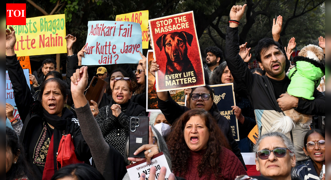 ‘Take them to your house’: Supreme Court questions dog feeding groups; compensation warning for states | India News