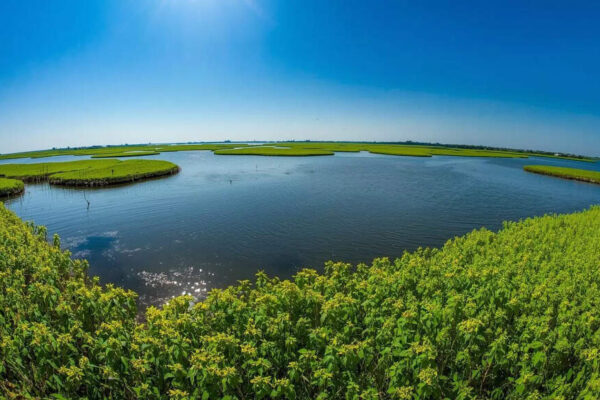 India has the world’s only floating national park: Know its location |