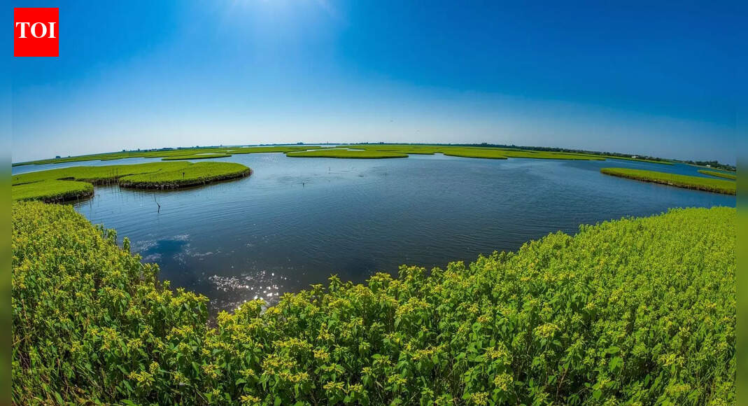 India has the world’s only floating national park: Know its location |