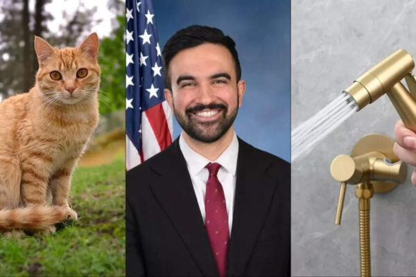Installing bidets, adopting a cat: What NYC Mayor Zohran Mamdani plans to change in Gracie Mansion?