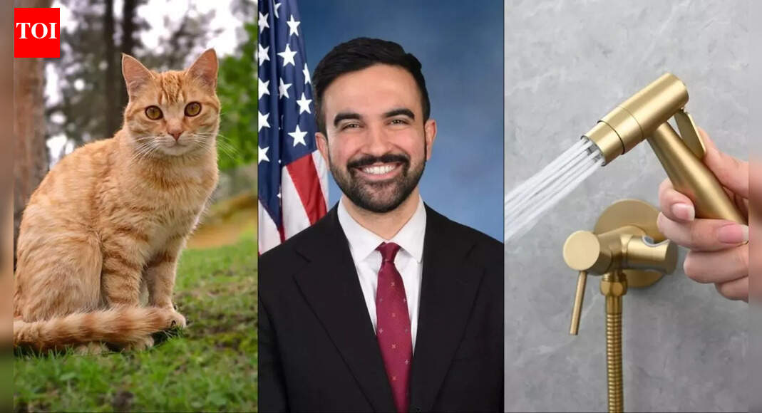 Installing bidets, adopting a cat: What NYC Mayor Zohran Mamdani plans to change in Gracie Mansion?