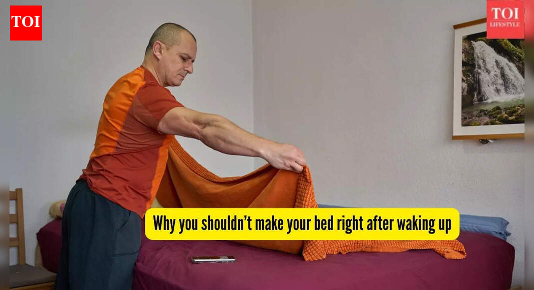Why you shouldn’t make your bed right after waking up: 5 surprising reasons