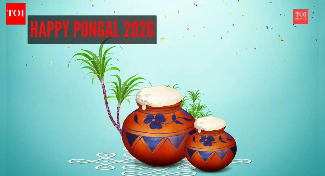 Pongal Wishes & Greetings: ​Happy Pongal 2026: Quotes, wishes, messages, cards, greetings, pictures and GIFs |