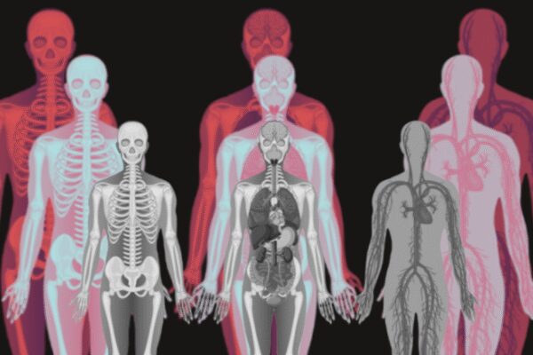 How much money is a human body worth? Inside a shocking industry turning remains into profit |
