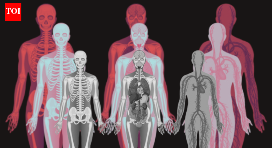 How much money is a human body worth? Inside a shocking industry turning remains into profit |