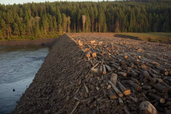 The world’s largest beaver dam is so big that you can see it from space