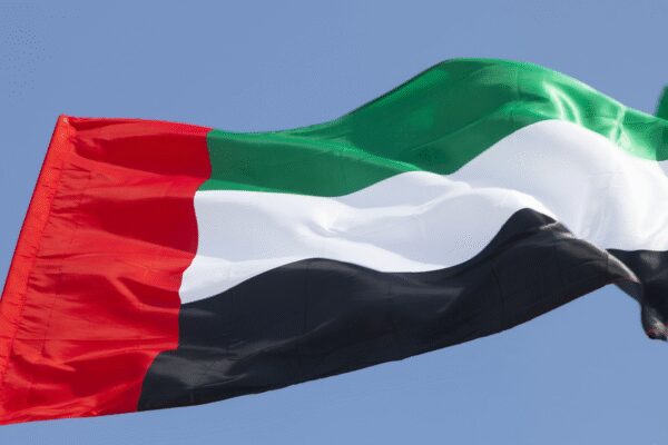 UAE backs US designation of Muslim brotherhood branches as terrorist organisations | World News