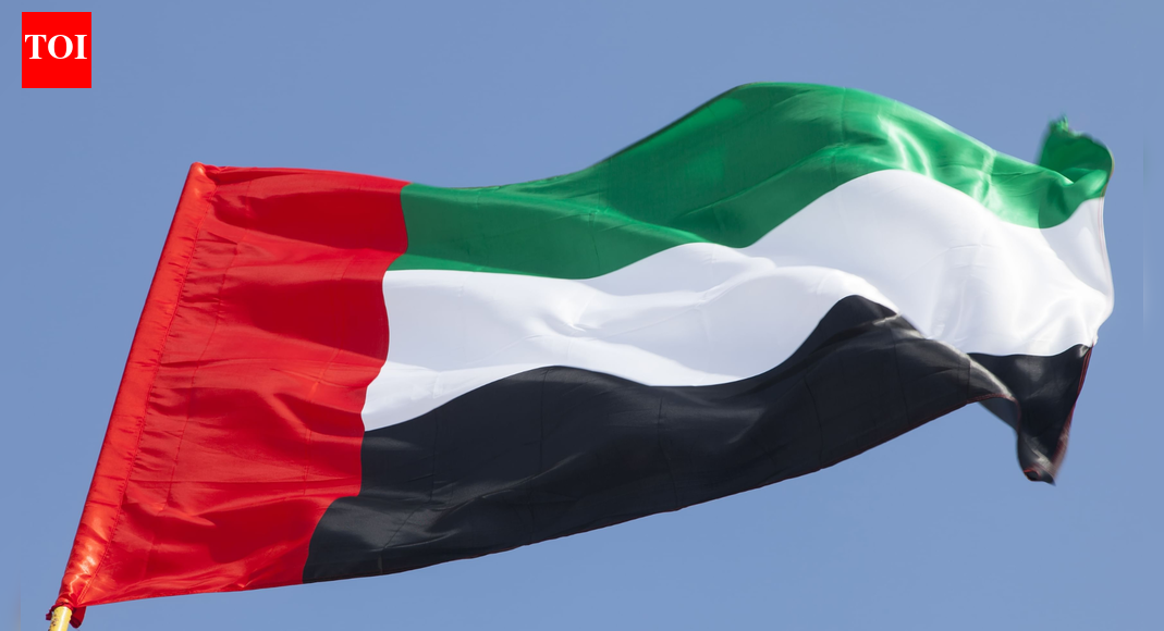 UAE backs US designation of Muslim brotherhood branches as terrorist organisations | World News
