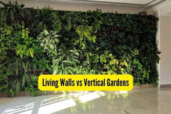 Living Walls vs Vertical Gardens: What’s the real difference, which is the best and why? |