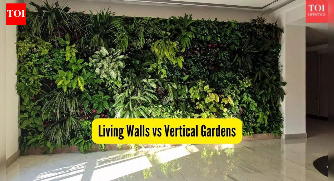 Living Walls vs Vertical Gardens: What’s the real difference, which is the best and why? |