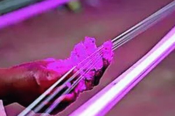 Courts and state govts have banned Chinese manja but enforcement has struggled to keep pace with demand VARANASI/HYDERABAD/BIDAR: Razor-sharp Chinese manja – glass-coated kite string, banned but still widely used – sliced through necks and faces Wednesday, killing at least three people in UP, Telangana and Karnataka while injuring well over 100 across states as Makar Sankranti celebrations and routine travel collided with lethal strands dangling across roads and bridges.In UP, 28-year-old doctor Sameer Hashmi bled to death after Chinese manja cut his throat near a public school campus. Hashmi, a resident of Kerakat town, was riding his bike back from Jaunpur city when the string tightened around his neck. Rushed to the district hospital, he died during treatment.”Despite a continuing drive and seizures from kite shops and vendors, such cases are happening,” said Jaunpur ASP Goldi Gupta, urging the public to inform authorities about illegal sellers and users.Jaunpur has now recorded two such deaths within a month. On Dec 11, school teacher Sandeep Tripathi, 45, was killed when manja slit his throat as he crossed Sadhbhavna bridge over the Gomti river, after dropping his daughter at school.Migrant worker Avadhesh Kumar, 38, from Lakhimpur district in UP was killed Wednesday, just hours after reaching Sangareddy district of Telangana for farm work. Police said Chinese manja stretched across a village road sliced his neck as he rode a motorcycle to a market. He was declared dead on arrival at a govt hospital. Kumar’s 19-year-old son, who had travelled with him, filed a police complaint.In northern Karnataka, Chinese manja cut short a father’s festival journey. Sanjiva Kumar, 48, a gram panchayat worker from Bambulagi village, died Wednesday on a flyover near Talamadagi in Bidar district. He had set out on his motorbike to bring home his 16-year-old daughter from a residential school for Sankranti. Thrown from the bike after the string sliced his neck, he managed to call his daughter, saying he might be delayed – his final call. He was declared dead at Chitaguppa taluk hospital.Varanasi saw a close call. Jitendra Maurya suffered deep cuts to his eyelids and nose when manja struck him on Samneghat bridge while he was riding a motorcycle.Telangana police said at least 10 injuries linked to the string have been reported in recent weeks, including a police officer who required 10 stitches to his neck and a four-year-old boy who needed 12 stitches after a deep gash.More than 100 people in Jaipur, many of them bikers, were treated for facial and neck cuts caused by snapped strings. A seven-month-old baby suffered a throat cut. “I was riding pillion when my friend’s nose was cut,” said Ramesh Saini, a resident.(With inputs from Jaipur)End of ArticleFollow Us On Social MediaVideosJaishankar Holds Talks With Iran FM Araghchi as Middle East Tensions Escalate“At 75% Tariff, Partnership Loses Meaning,” Tharoor After Jaishankar–Rubio TalksLeT Commander’s Jihad Call Mirrors Pak Army Rhetoric As Terror And State Lines Blur On KashmirCalcutta HC Hears ED and TMC Petitions Over I-PAC Raids, ED Moves Supreme CourtSix Sarpanches Booked in Kamareddy for Mass Killing of Stray Dogs Ahead of ElectionsHistoric moment! INSV Kaundinya Honoured With Water Salute After Oman SailWhy Union Budget 2026 Could Redefine Indian Sports Ahead Of 2030 Commonwealth Games, 2036 OlympicsWhy India Is Doubling Down On Rafale Jets With ₹3.25 Lakh Crore Deal Despite US And Russian OffersWhy China Building Roads In Shaksgam Valley Is A Direct Strategic Challenge For India In Kashmir’Leave By Any Means’: India Issues Fresh Advisory As Iran Protests Intensify Across Cities123PhotostoriesWinter Special: How to make classic Carrot Cake in a kadhai5 safari gates in north Indian national parks with the highest chances of tiger sightingsWest Bengal 2021: Who triumphed and who fell in last assembly polls — Mamata, Suvendu and othersChef Sanjeev Kapoor shares Makar Sankranti snack recipes that offer joy in every biteINSV Kaundinya: Navy’s engineless ship on maiden voyage reaches Muscat; tracks ancient trade routeHow to make Bihari-style Sattu Paratha for dinner at homeDid you know that these Indian states have one hill station each?From calling Sunil Grover as “more Salman Khan than Salman himself” to Krushna Abhishek joking about Archana’s huge solitaire; Archana Puran Singh shares BTS moments from The Great Indian Kapil Show7 oldest Parsi/Irani cafes to visit in MumbaiRani Mukerji, Tabu, and Deepika Padukone: Actresses who stole the show as fearless cops in gripping thriller dramas123Hot PicksIran protestBudget 2026Gold rate todayUS Economy10-minute deliveryPublic holidays January 2026Bank Holidays JanuaryTop TrendingKayla Harrison vs Amanda NunesNHL Trade RumorsCleveland Cavaliers vs Philadelphia 76ersToronto Raptors vs Indiana PacersPhil Taylor Net WorthIShowSpeed Net WorthJoel EmbiidDonovan MitchellTravis KelceKyrie Irving Net Worth
