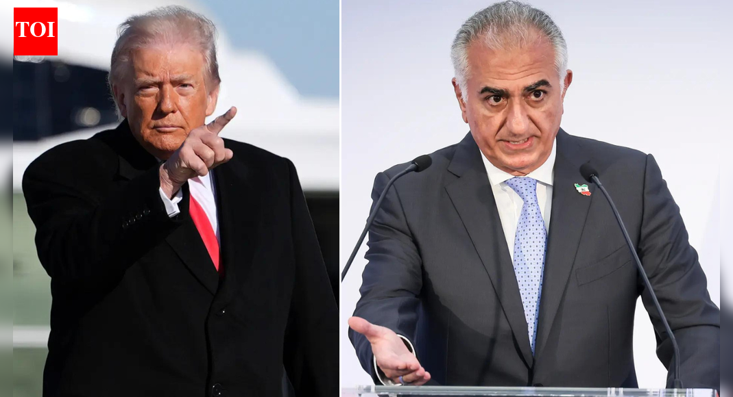 Iran unrest: Is Reza Pahlavi the future? Trump calls ex-crown prince ‘nice person’ but expresses uncertainty