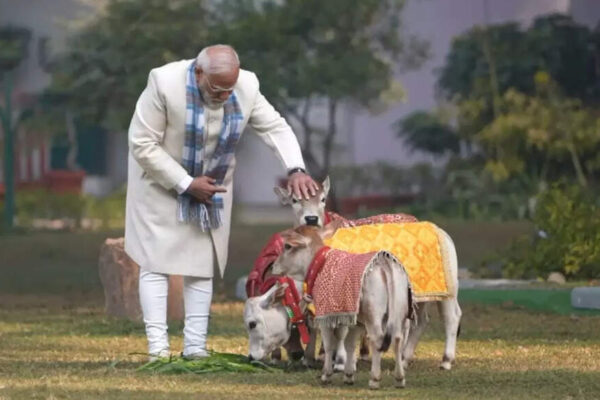 Photo: Screengrab NEW DELHI: Prime Minister Narendra Modi fed fodder to his cows at Lok Kalyan Marg (LKM) residence on the occasion of Makar Sankranti, which marks the harvest festival of Hindus. In the 39-second clip, PM Modi was seen standing outdoors on a lawn, offering feed to the cows, which were adorned with decorative cloths, keeping with traditional festival practices. PM Modi on Wednesday extended greetings to the nation on the occasion of Makar Sankranti, a harvest festival observed across India in accordance with regional traditions.The festival marks the Sun’s transition into the zodiac sign of Capricorn (Makar) and is celebrated as a mid-winter harvest festival.”This sacred occasion of Sankranti is celebrated in various parts of the country according to local customs and traditions. I pray to Lord Surya for everyone’s happiness, prosperity, and excellent health,” PM Modi said through a post on X.PM Modi also attended Pongal celebrations in the national capital on Wednesday, hailing it as a global festival representing one of the oldest civilisations in the world.Modi’s presence at the celebrations at the residence of Union Minister L Murugan here, with leading lights of the Tamil society, including the cast of the recently released film Parasakthi, was seen as an outreach to the southern state where assembly elections are due in the next few months.Addressing the gathering, Modi said this festival celebrates the hard work of the farmers and expresses gratitude to the land and the Sun.He said Pongal, which sends out the message of maintaining harmonious balance with nature, has emerged as a global festival, cherished by Tamilians world over.”The festival of Pongal reminds us that gratitude should go beyond mere words and become an integral part of our daily lives. When the Earth provides us with so much, it is our responsibility to cherish and protect it,” PM Modi said at the celebrations that had Union ministers, bureaucrats, and people from a cross-section of society in attendance.About the AuthorTOI News DeskThe TOI News Desk comprises a dedicated and tireless team of journalists who operate around the clock to deliver the most current and comprehensive news and updates to the readers of The Times of India worldwide. With an unwavering commitment to excellence in journalism, our team is at the forefront of gathering, verifying, and presenting breaking news, in-depth analysis, and insightful reports on a wide range of topics. The TOI News Desk is your trusted source for staying informed and connected to the ever-evolving global landscape, ensuring that our readers are equipped with the latest developments that matter most.”Read MoreEnd of ArticleFollow Us On Social MediaVideosJamiat Chief Madani Slams Congress For ‘Flexible Policy On Hate Politics’; BJP, VHP ReactACMA President Says Auto Parts Industry May Face Slowdown In Second Half, Pins Hopes On Trade DealsJaishankar Holds Talks With Iran FM Araghchi as Middle East Tensions Escalate“At 75% Tariff, Partnership Loses Meaning,” Tharoor After Jaishankar–Rubio TalksLeT Commander’s Jihad Call Mirrors Pak Army Rhetoric As Terror And State Lines Blur On KashmirCalcutta HC Hears ED and TMC Petitions Over I-PAC Raids, ED Moves Supreme CourtSix Sarpanches Booked in Kamareddy for Mass Killing of Stray Dogs Ahead of ElectionsHistoric moment! INSV Kaundinya Honoured With Water Salute After Oman SailWhy Union Budget 2026 Could Redefine Indian Sports Ahead Of 2030 Commonwealth Games, 2036 OlympicsWhy India Is Doubling Down On Rafale Jets With ₹3.25 Lakh Crore Deal Despite US And Russian Offers123PhotostoriesNot everything is colourful: 5 animals that are colour blindWhat to do when you already know that your child is lying to youInside Mark Zuckerberg’s insane watch collectionHow to build a reading routine that kids will stick toWinter Special: How to make classic Carrot Cake in a kadhai5 safari gates in north Indian national parks with the highest chances of tiger sightingsWest Bengal 2021: Who triumphed and who fell in last assembly polls — Mamata, Suvendu and othersChef Sanjeev Kapoor shares Makar Sankranti snack recipes that offer joy in every biteINSV Kaundinya: Navy’s engineless ship on maiden voyage reaches Muscat; tracks ancient trade routeHow to make Bihari-style Sattu Paratha for dinner at home123Hot PicksIran protestsBudget 2026Gold rate todayBank holiday today10-minute deliveryPublic holidays January 2026Bank Holidays JanuaryTop TrendingFortnite Update V39 39 Release DateNHL Trade RumorsCleveland Cavaliers vs Philadelphia 76ersToronto Raptors vs Indiana PacersPhil Taylor Net WorthIShowSpeed Net WorthJoel EmbiidDonovan MitchellTravis KelceKyrie Irving Net Worth