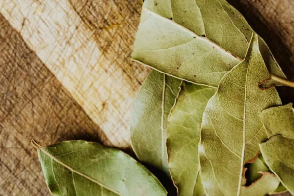 This bay leaf trick could keep your pantry and closet pest-free |