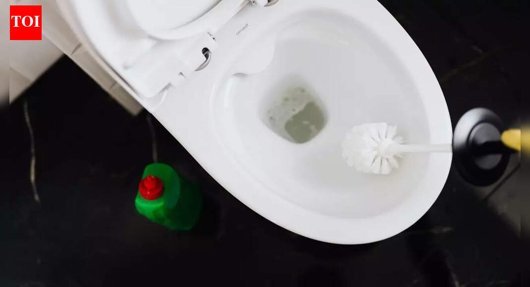 Easy ways to remove toilet bowl stains at home |