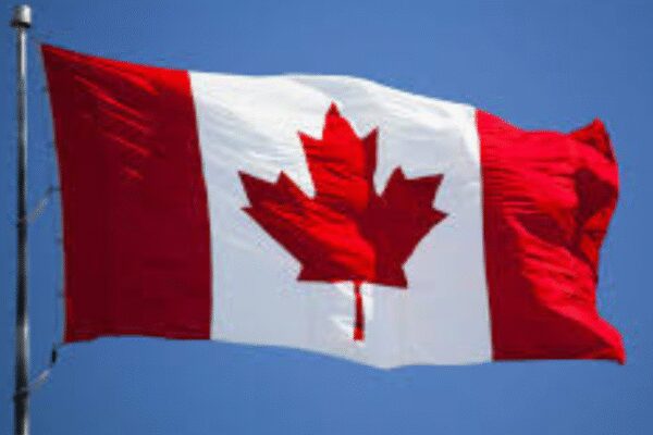 ‘I have enough skill’: Man who got laid off in Canada replies to ‘go back to India’ jibe on TikTok