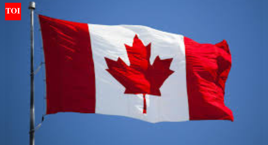 ‘I have enough skill’: Man who got laid off in Canada replies to ‘go back to India’ jibe on TikTok