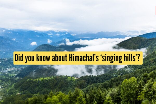 Did you know about Himachal’s ‘singing hills’? Here’s where to find them |