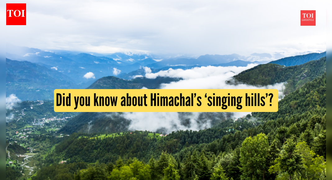 Did you know about Himachal’s ‘singing hills’? Here’s where to find them |