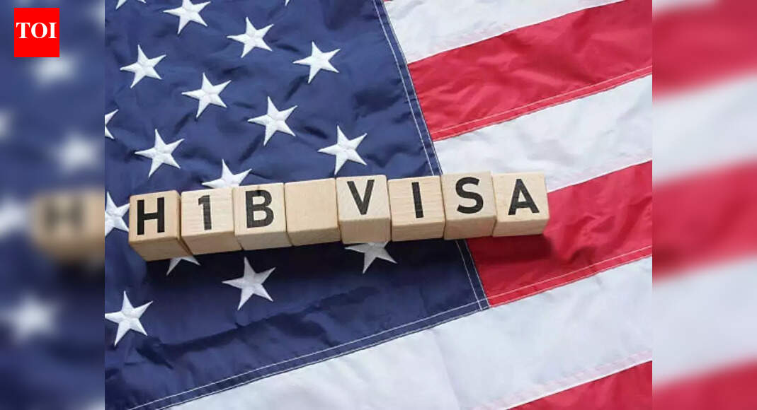 ‘5 businesses registered in one house’: Viral video claims massive H-1B fraud, salaries over 0,000 per year
